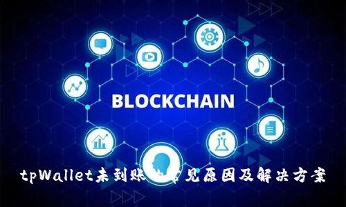 tpWallet未到账的常见原因及解决方案