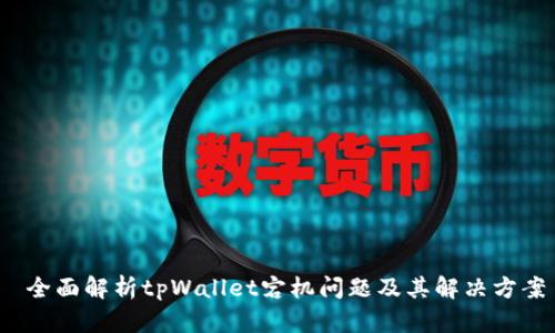 全面解析tpWallet宕机问题及其解决方案