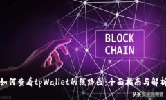 如何查看tpWallet的线路图:全面指南与解析