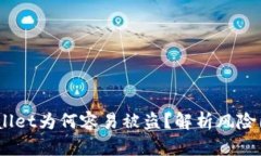 深入探讨:tpWallet为何容易被盗?解析风险因素与
