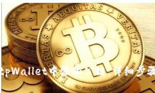 如何在tpWallet中添加公链：详细步骤与指南