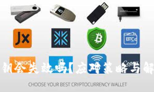 加密钱包密钥会失效吗？应对策略与解决方案详解