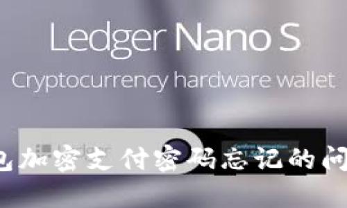 如何解决钱包加密支付密码忘记的问题？终极指南