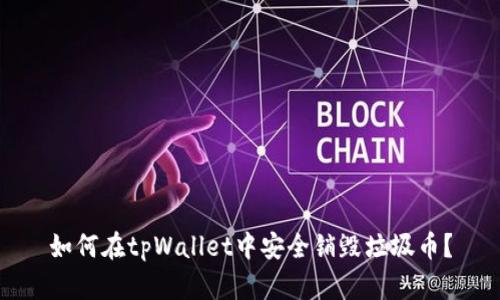 如何在tpWallet中安全销毁垃圾币？