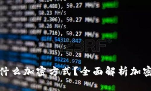 数字钱包依靠什么加密方式？全面解析加密技术与安全性