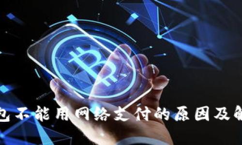 数字钱包不能用网络支付的原因及解决方案