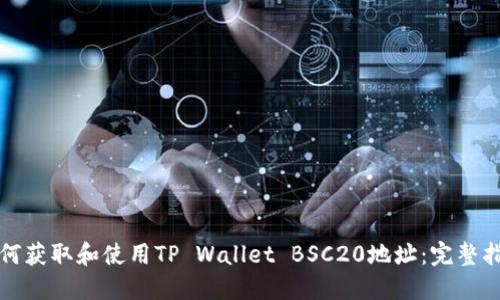 如何获取和使用TP Wallet BSC20地址：完整指南