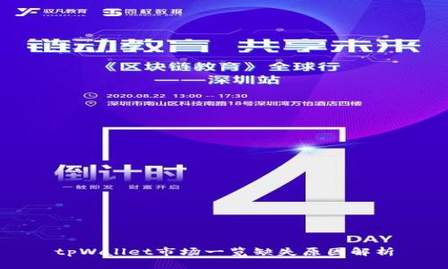 tpWallet市场一览缺失原因解析