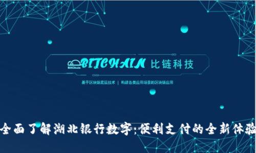 全面了解湖北银行数字：便利支付的全新体验