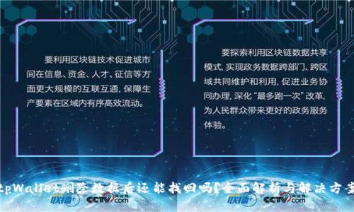 tpWallet删除数据后还能找回吗？全面解析与解决方案